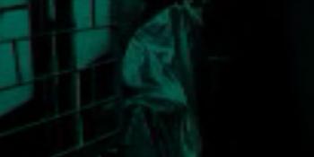 In The Dark-Shashi